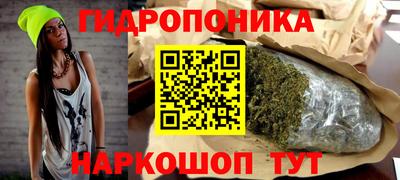 spice Гай