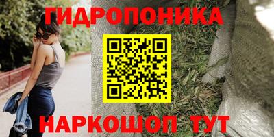 spice Гай
