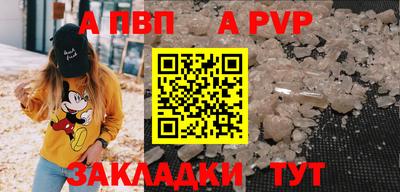 spice Гай