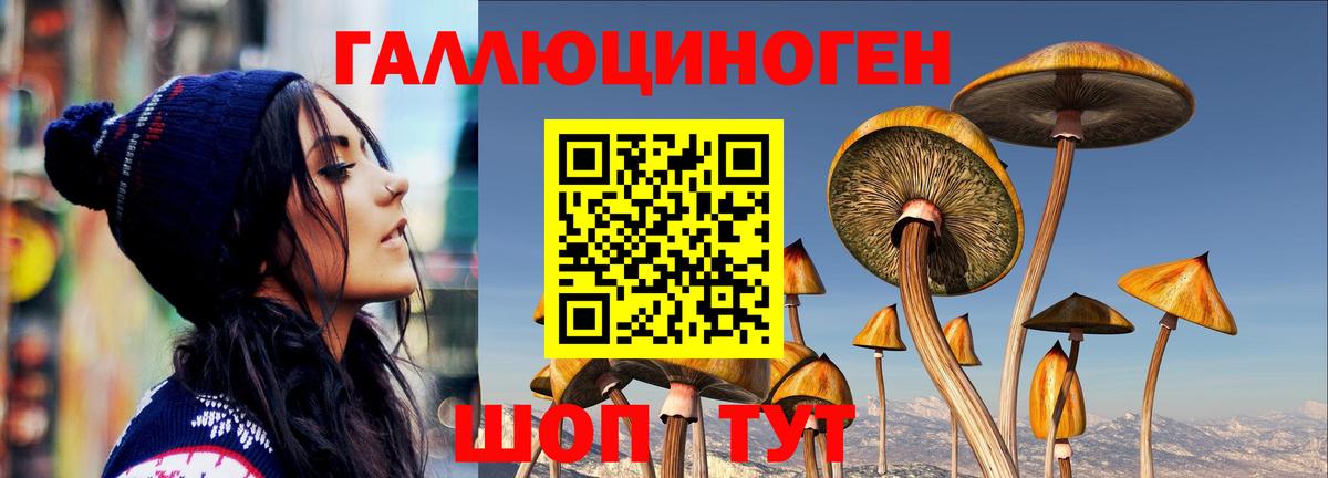 Псилоцибиновые грибы мухоморы Ростов Великий